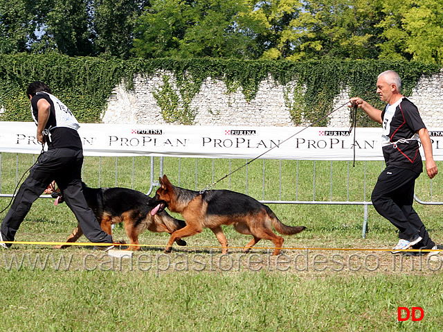 brad-di-ca-san-marco-e-bred-di casa-vizzato.jpg - Juniores maschi Brad di Ca' San Marco e Bred di Casa Vizzato